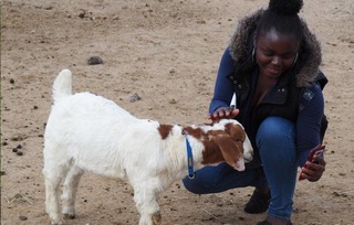 young woman pat the head of a goat